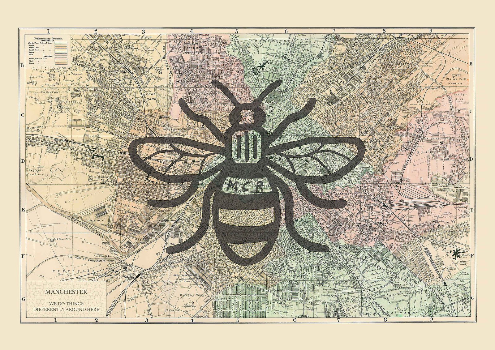 Manchester Bee Vintage Map print: a black worker bee over a vintage street map of Manchester